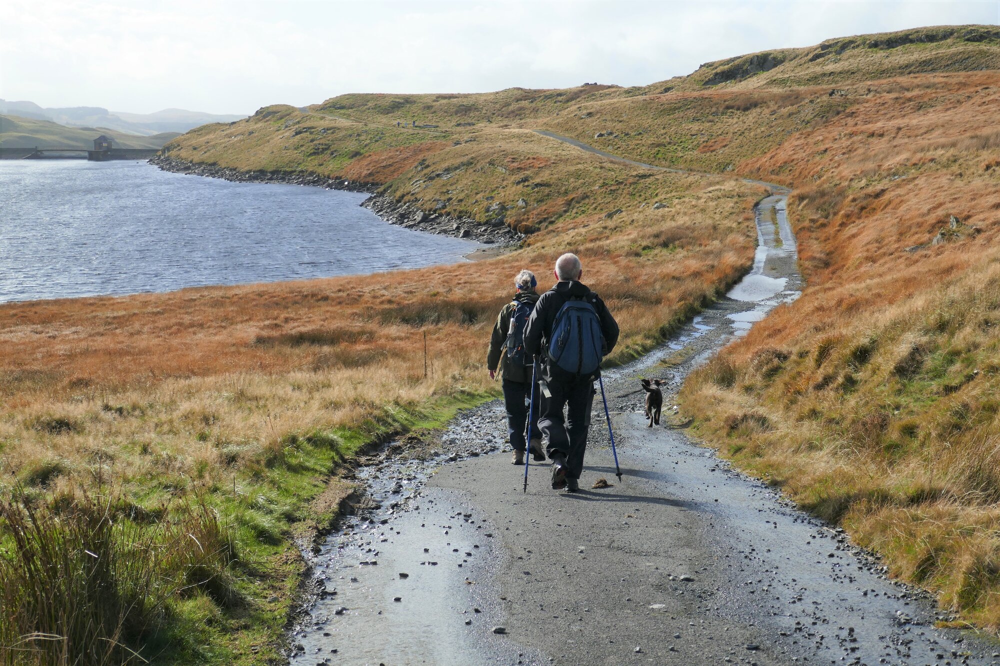RachelSeabrook.net | Wild Walking | Teifi Pools | pic27